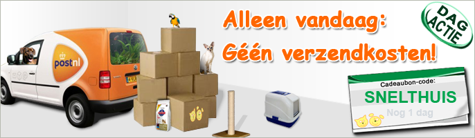 Hassy afbreken Optimisme Dier.nl - De dierenwinkel die alles thuisbezorgt